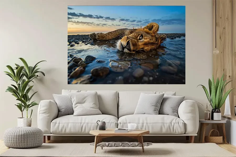 תמונת כפיר שוכב במים שקיעה - הדפסה על זכוכית בראשי קיוסרה